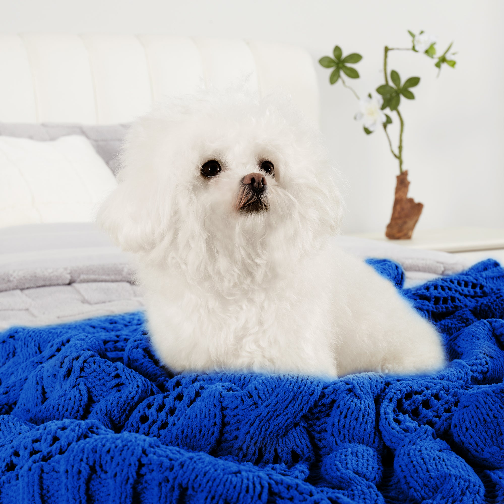 Dog resting on a cable chenille knit throw blanket in Navy Blue in a cozy home setting #color_Navy Blue