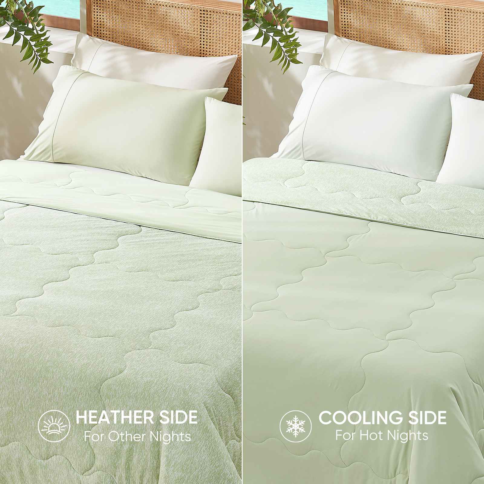 #Color_Sage Green
