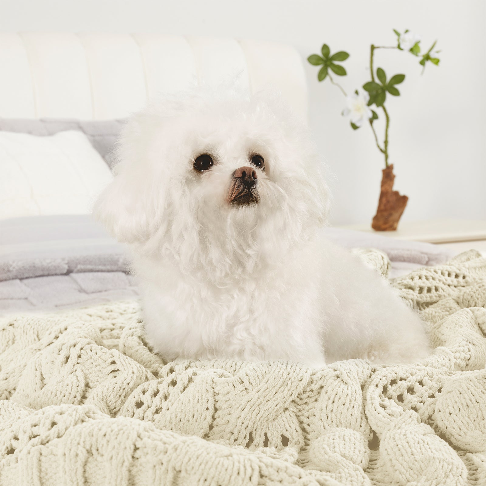 Dog resting on a Snuggle Sac cable chenille knit throw blanket in Ivory in a cozy home setting #color_Ivory