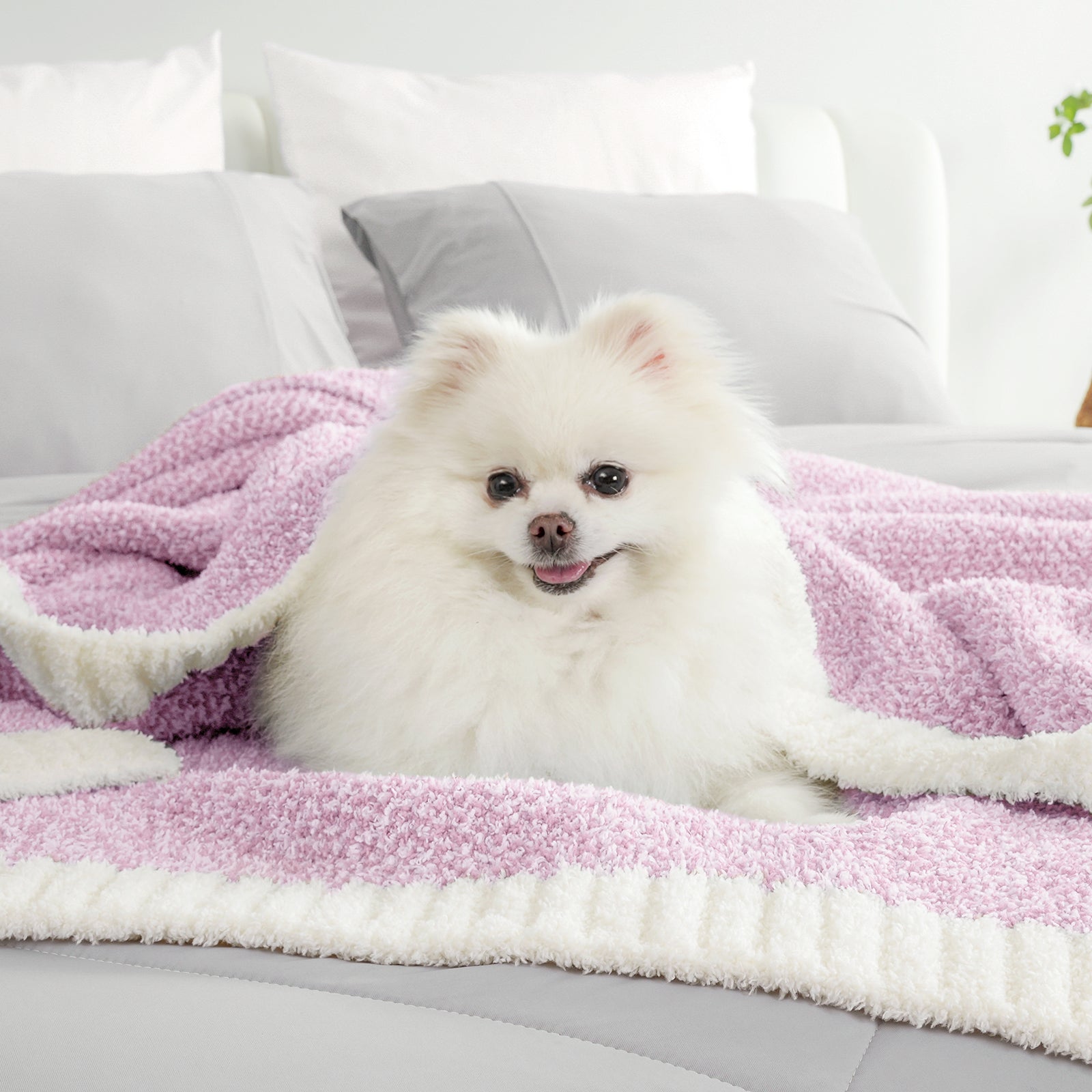 SnugCozy Essential Heather Feather Yarn Throw Blanket