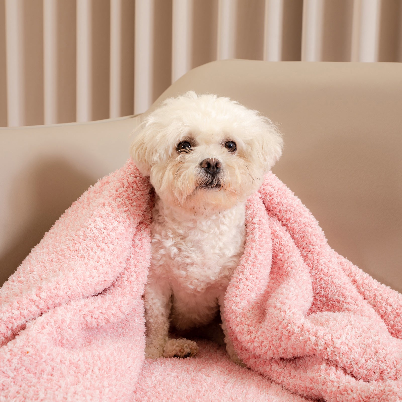 SnugCozy Essential Heather Feather Yarn Throw Blanket