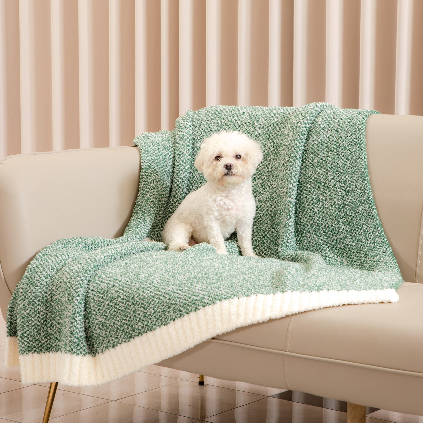 White dog sitting on a green blanket on a beige couch with a neutral background #Color_Heather Green