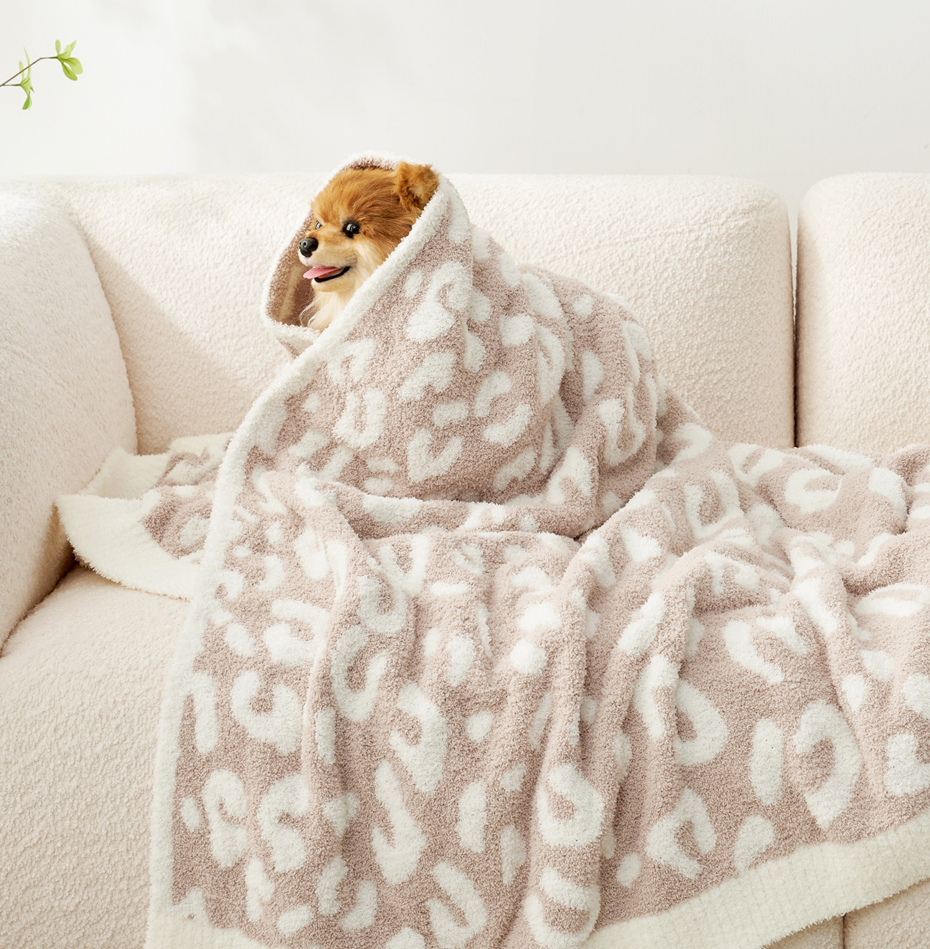 Minimalist Living Room Ideas with Knit Throw Blankets