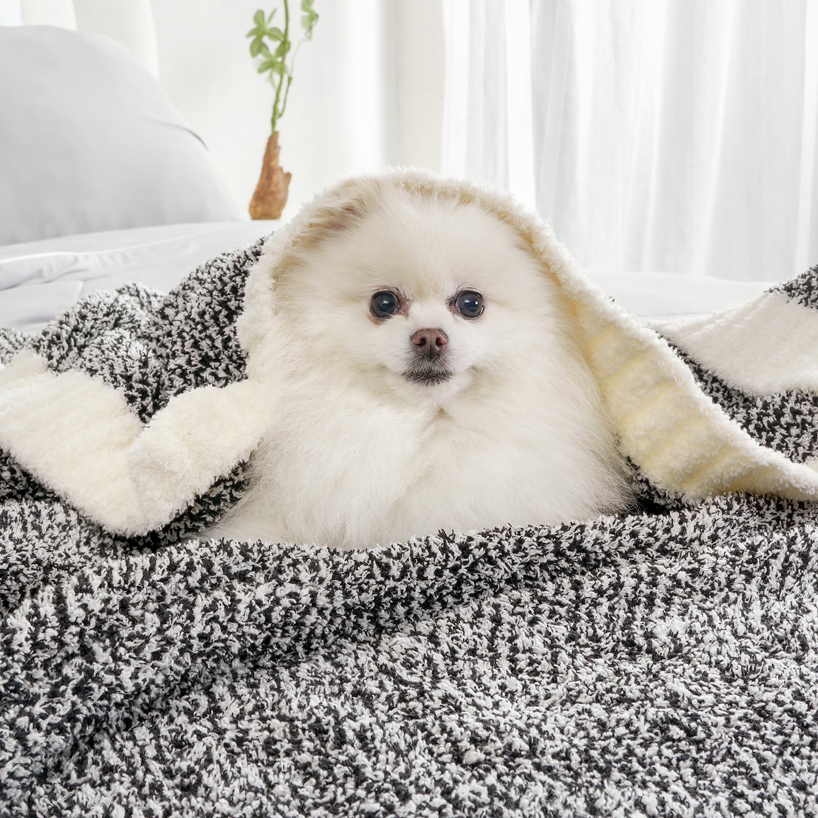 SnugCozy Essential Heather Feather Yarn Throw Blanket