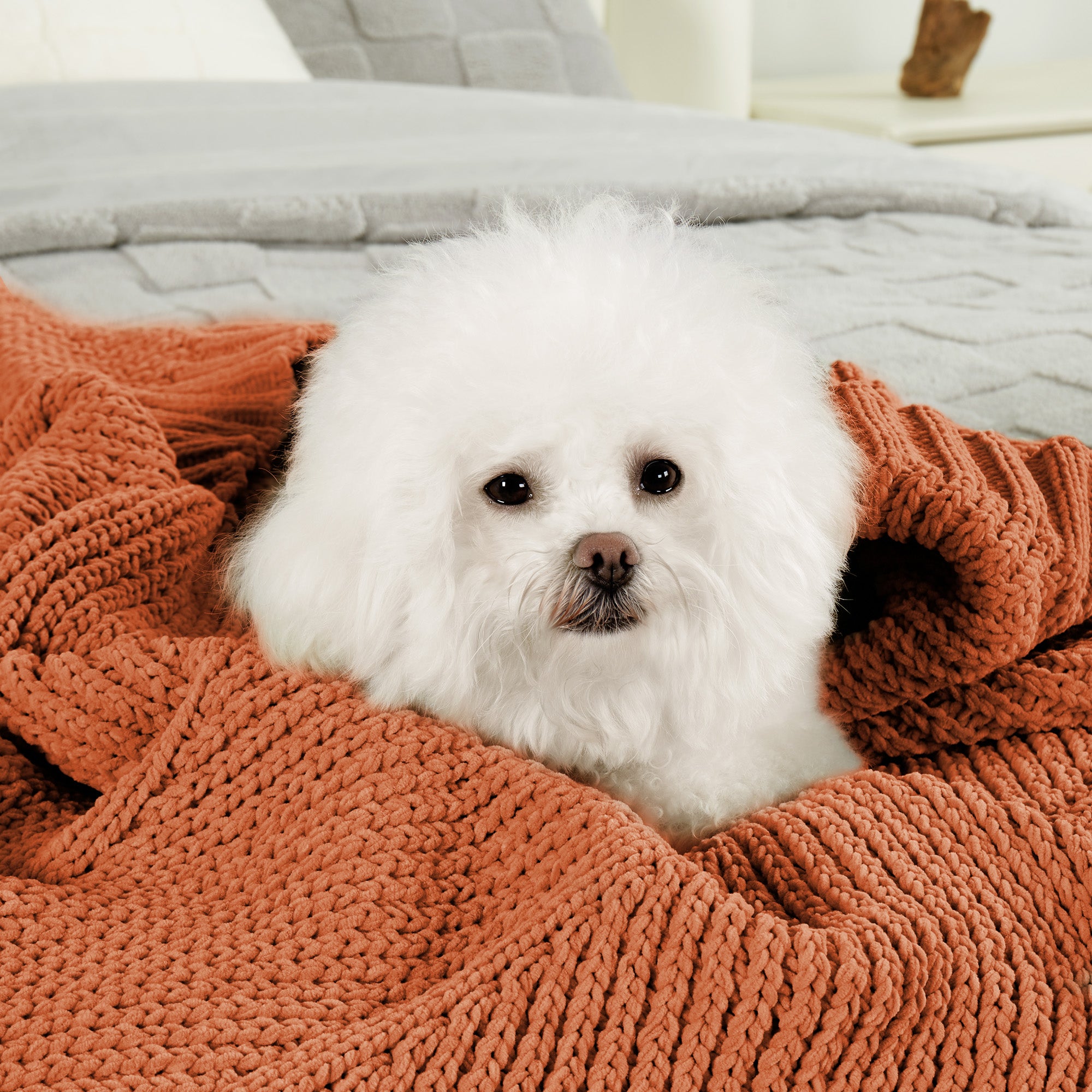 Dog resting on a Snuggle Sac soft chevron chenille knit throw blanket in Burnt Orange in a cozy home setting #color_Burnt Orange