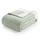 #Color_Sage Green
