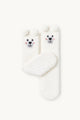#color_Snow Puppy